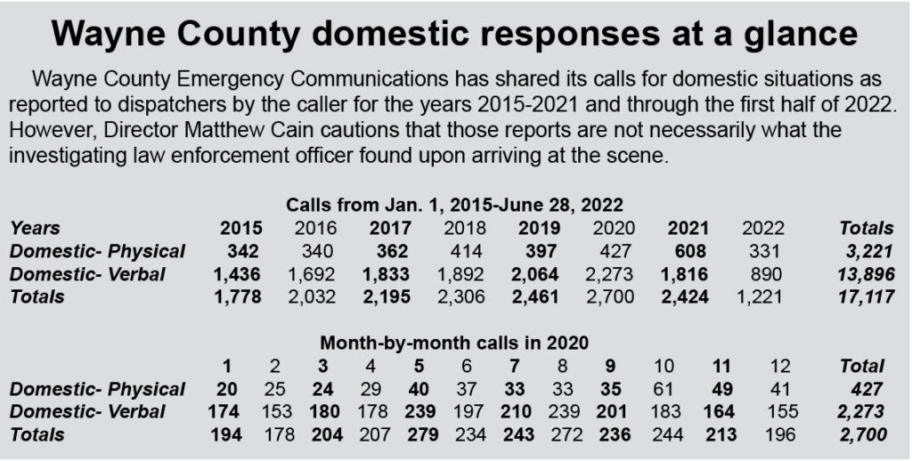 A table of domestic situation calls from 2015 through 2022, and a second table of month-by-month calls in 2020.