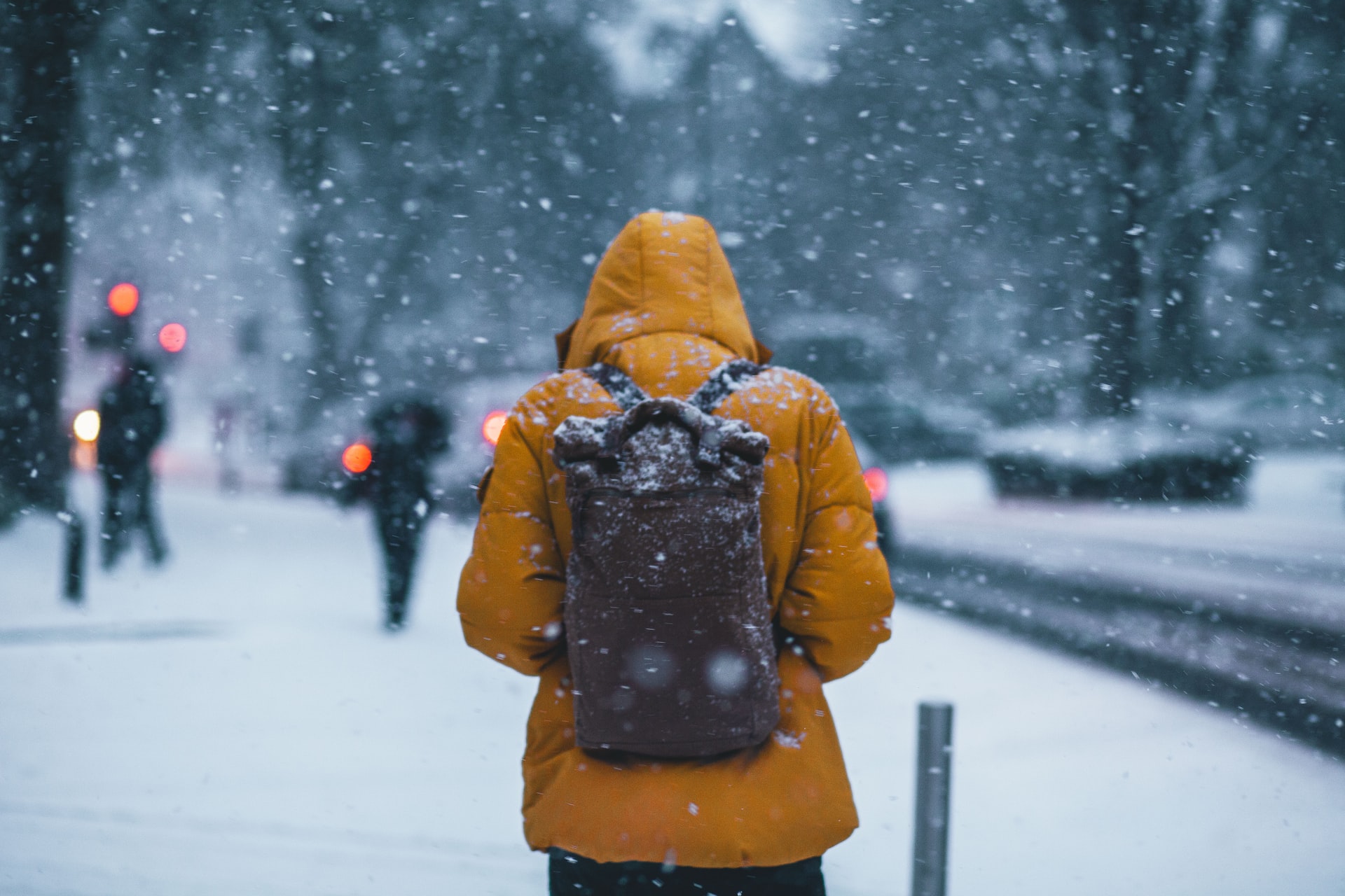 A person with a winter coat and backpack walks near a street through snowy weather