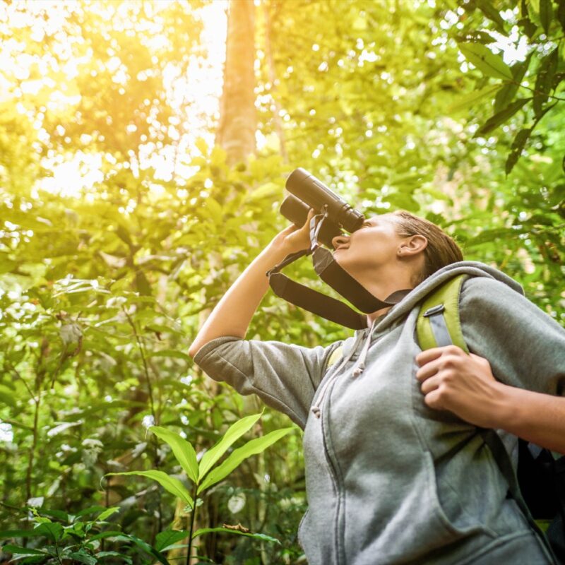 Spring brings annual Birdathon, new Adventure Pass
