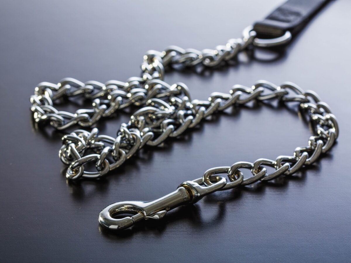 A dog leash made of metal chain