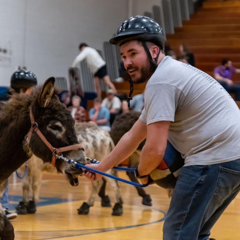 Ride ’em, Bulldogs