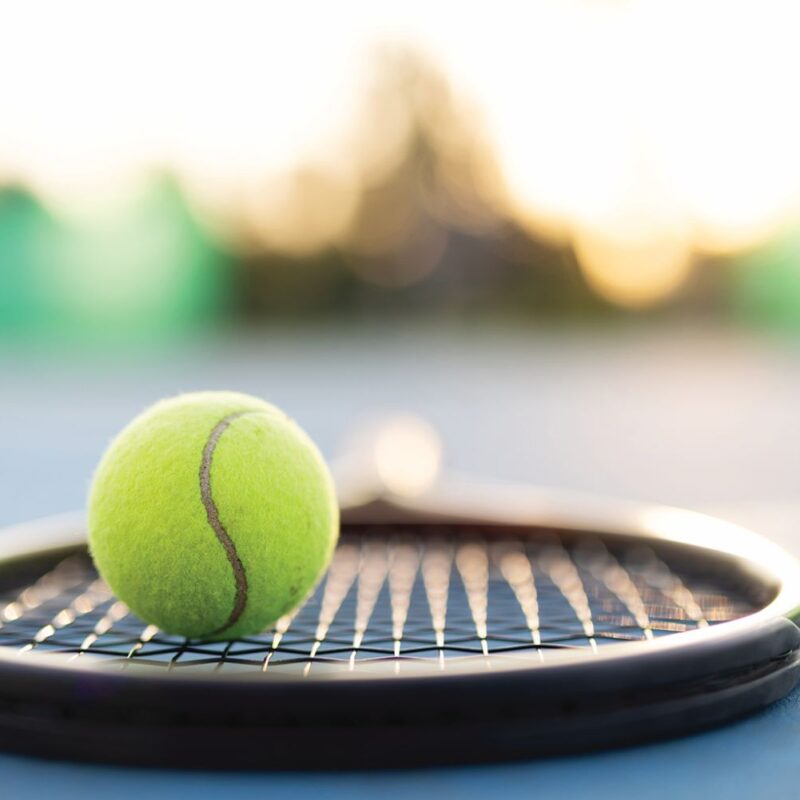 New opponents, familiar favorites for area boys tennis teams 