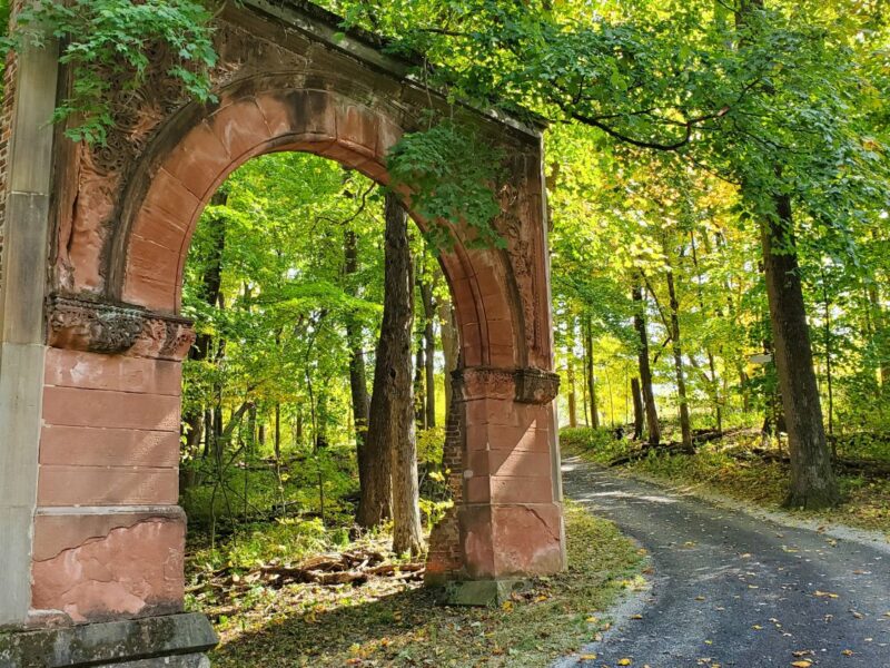 Hayes Arboretum seeks ideas via open house, survey