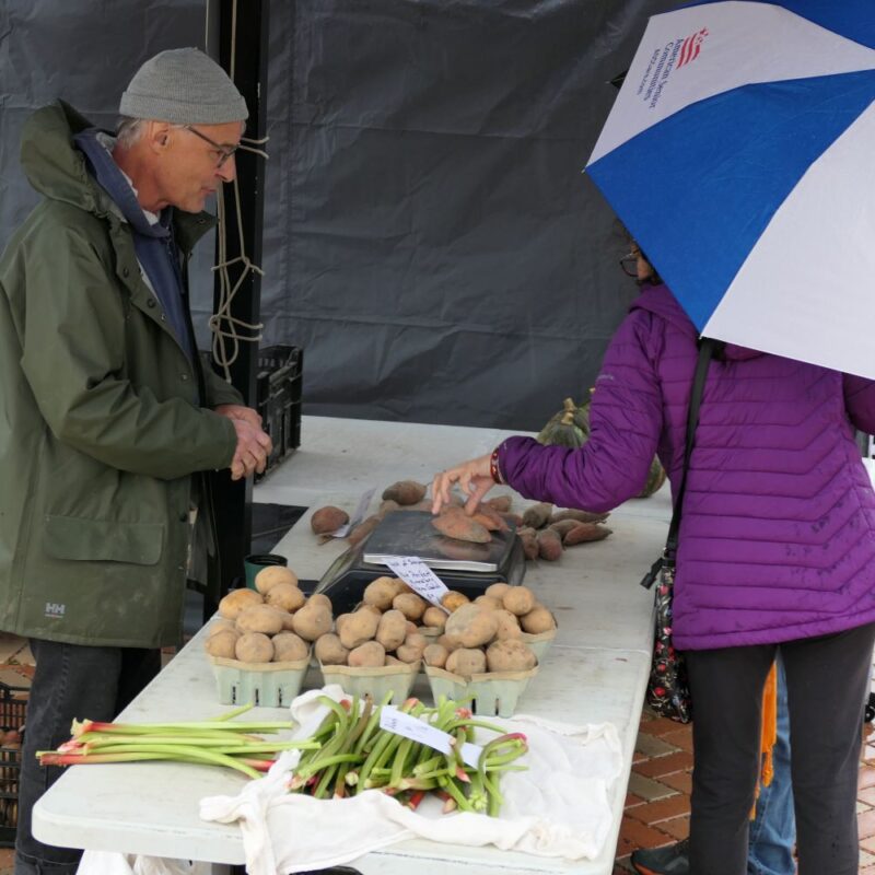 Surplus produce will feed those in need