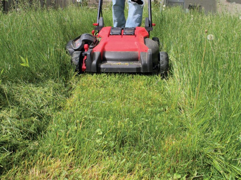 City saves $60K with mowing deal