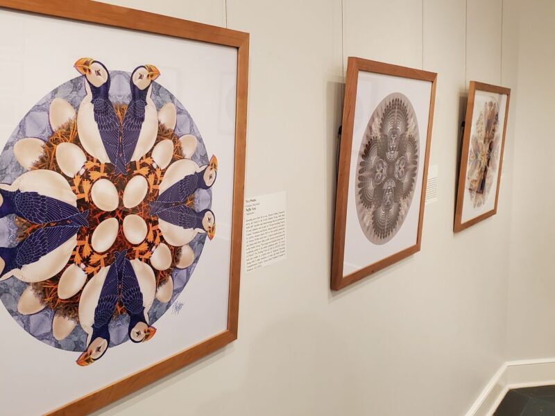 Illustrator’s art museum exhibit draws eyes toward nature