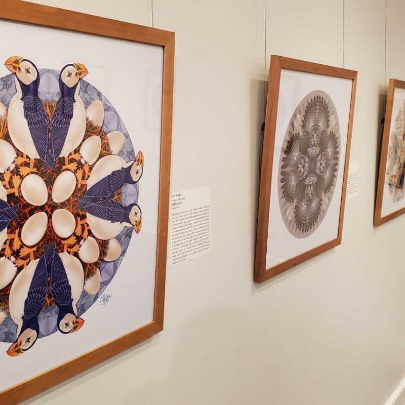 Illustrator’s art museum exhibit draws eyes toward nature