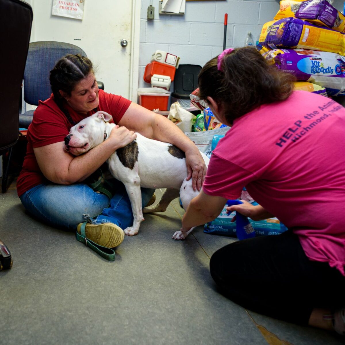 Animal shelter’s in ‘crisis mode’ 