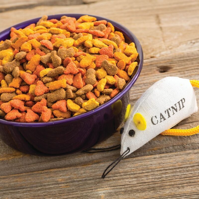 Cambridge cat colony control collects contributions