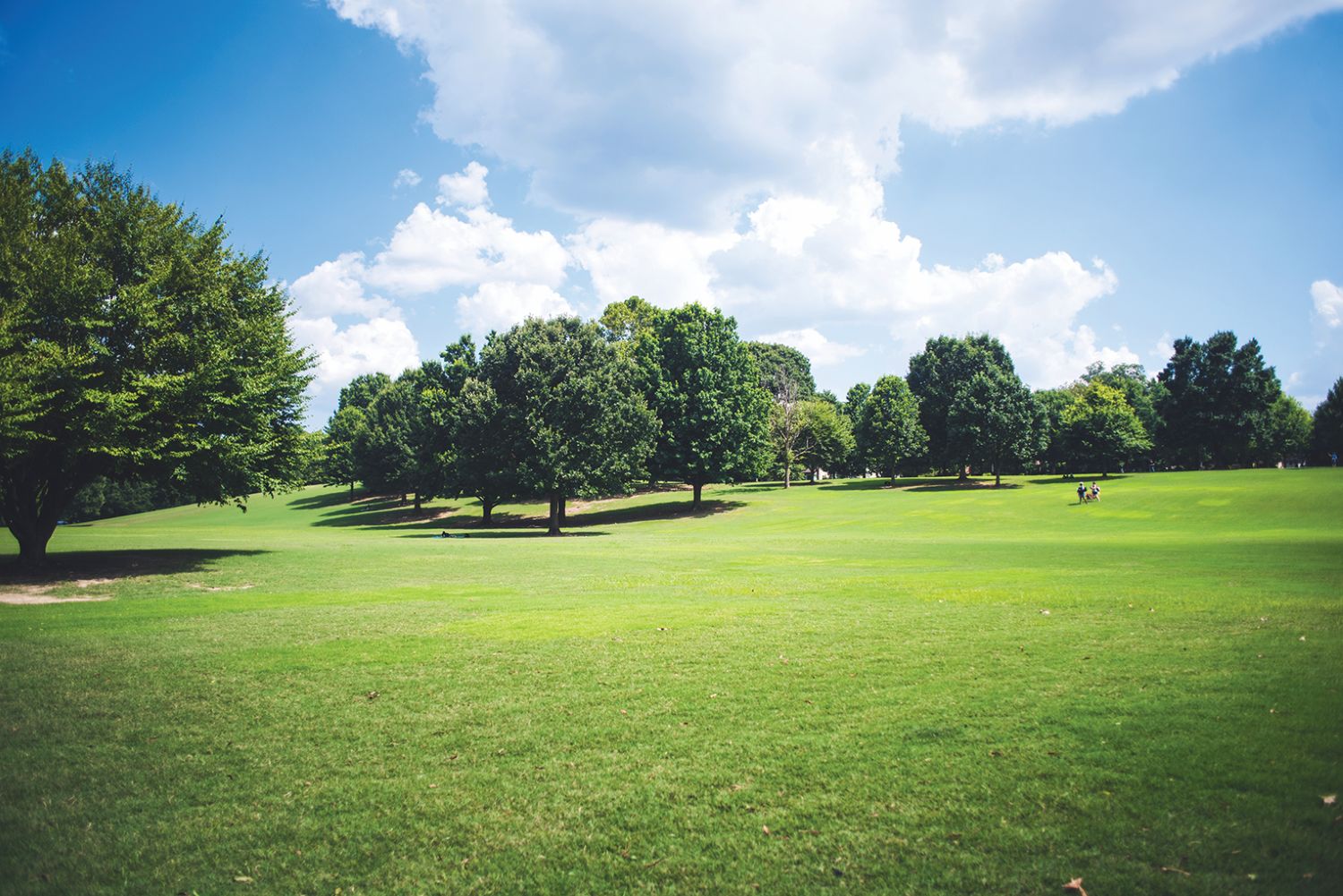 Town not stuck with old trucks