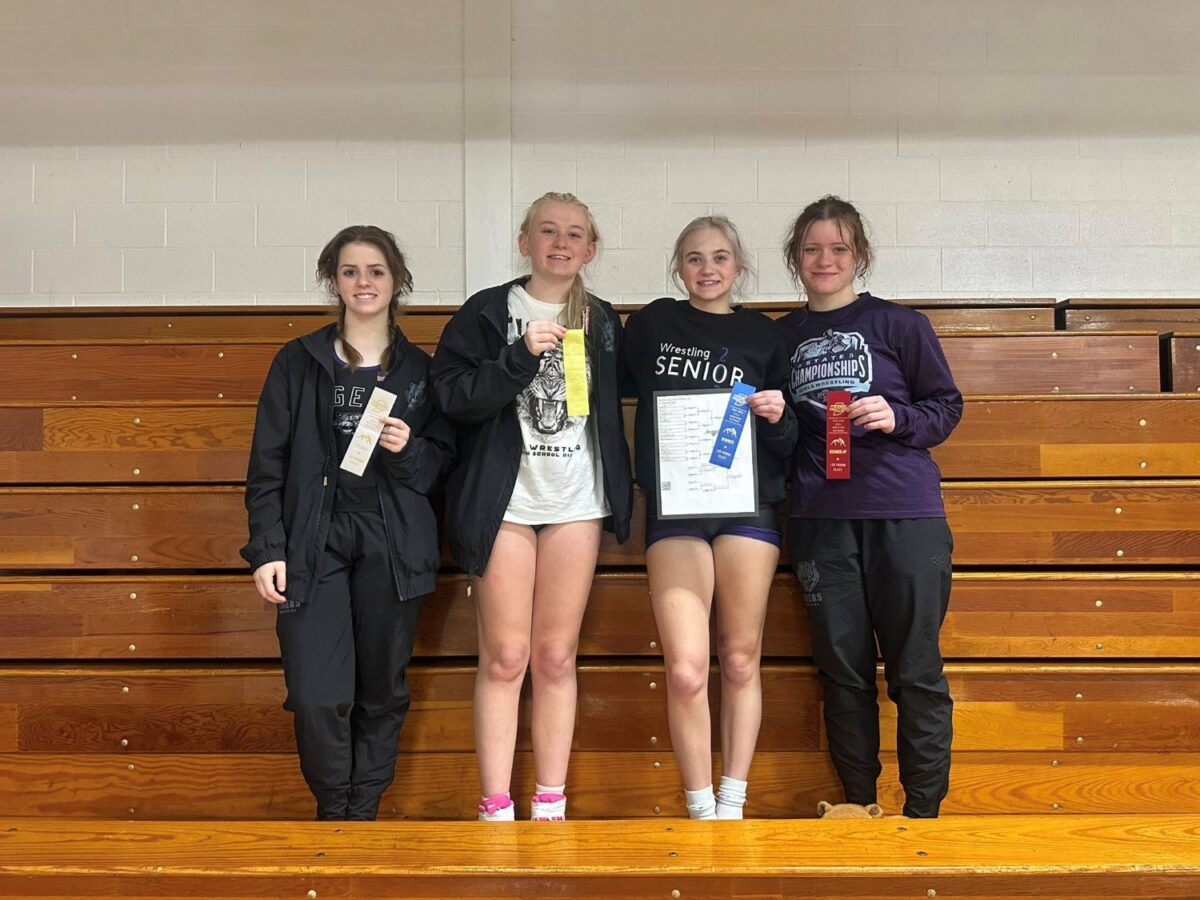 Tigers earn 4th in sectional, advance 4 to regional 