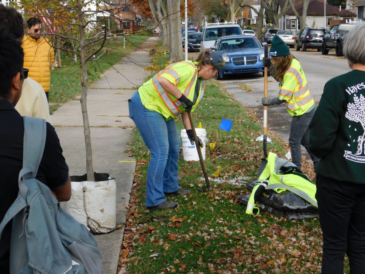 Council exercises additional spending oversight