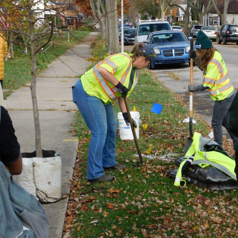 Council exercises additional spending oversight