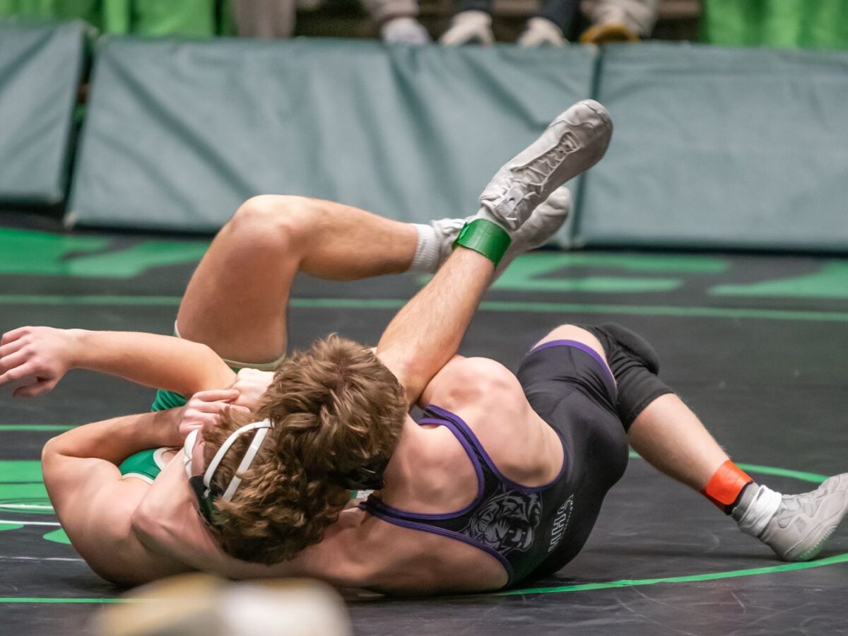Tiger wrestler advances to state  
