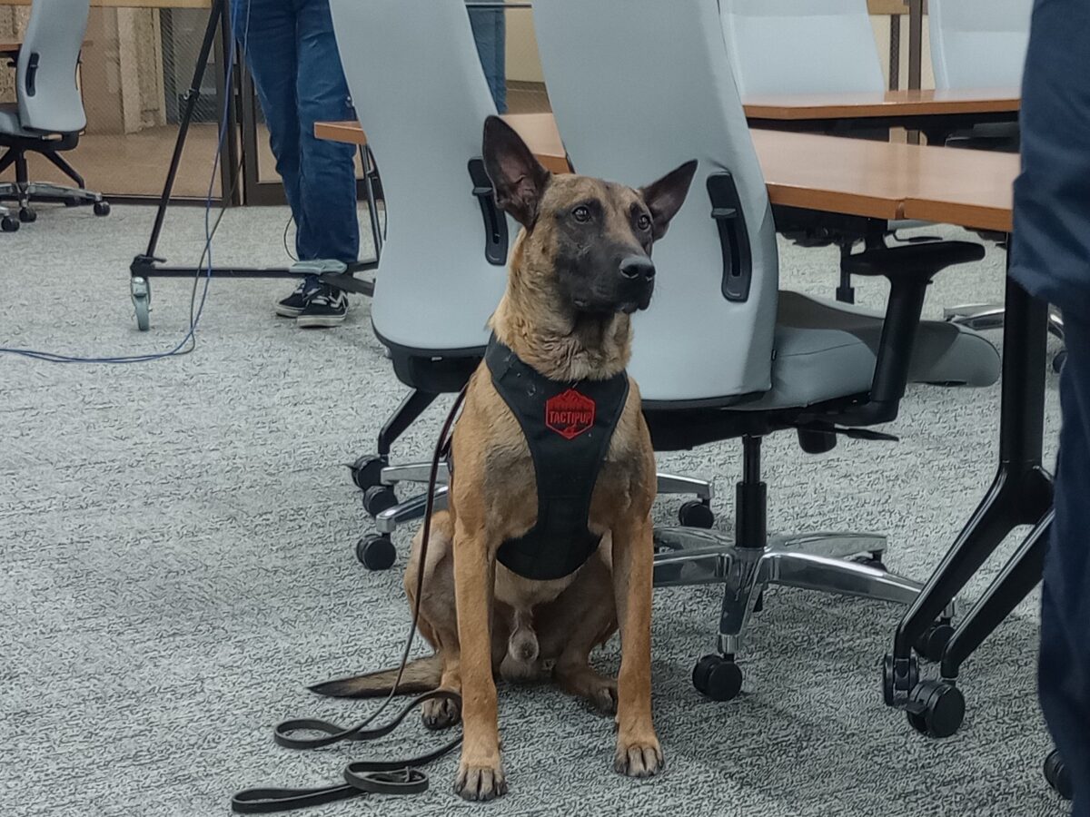 Milton FD requests county’s K-9 help