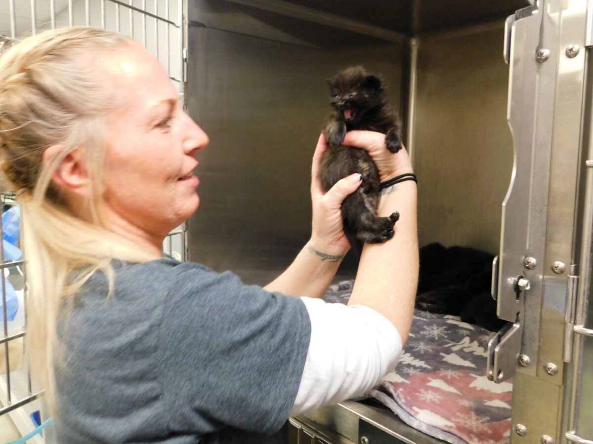 Averting catastrophe