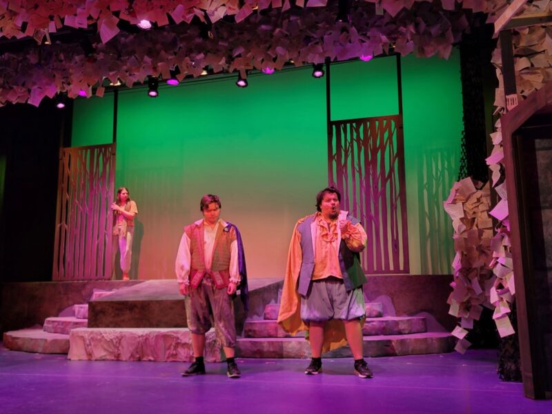 ‘Into the Woods’ goes onto the stage