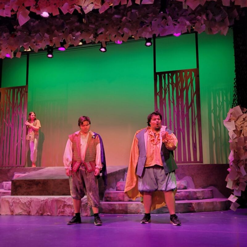 ‘Into the Woods’ goes onto the stage