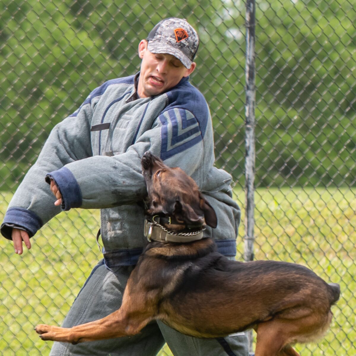 May 16 events honor Seara’s fitness, K-9 loves