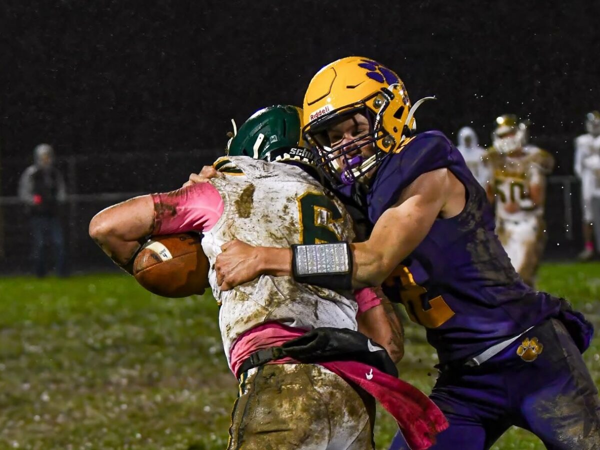 Tigers complete undefeated season