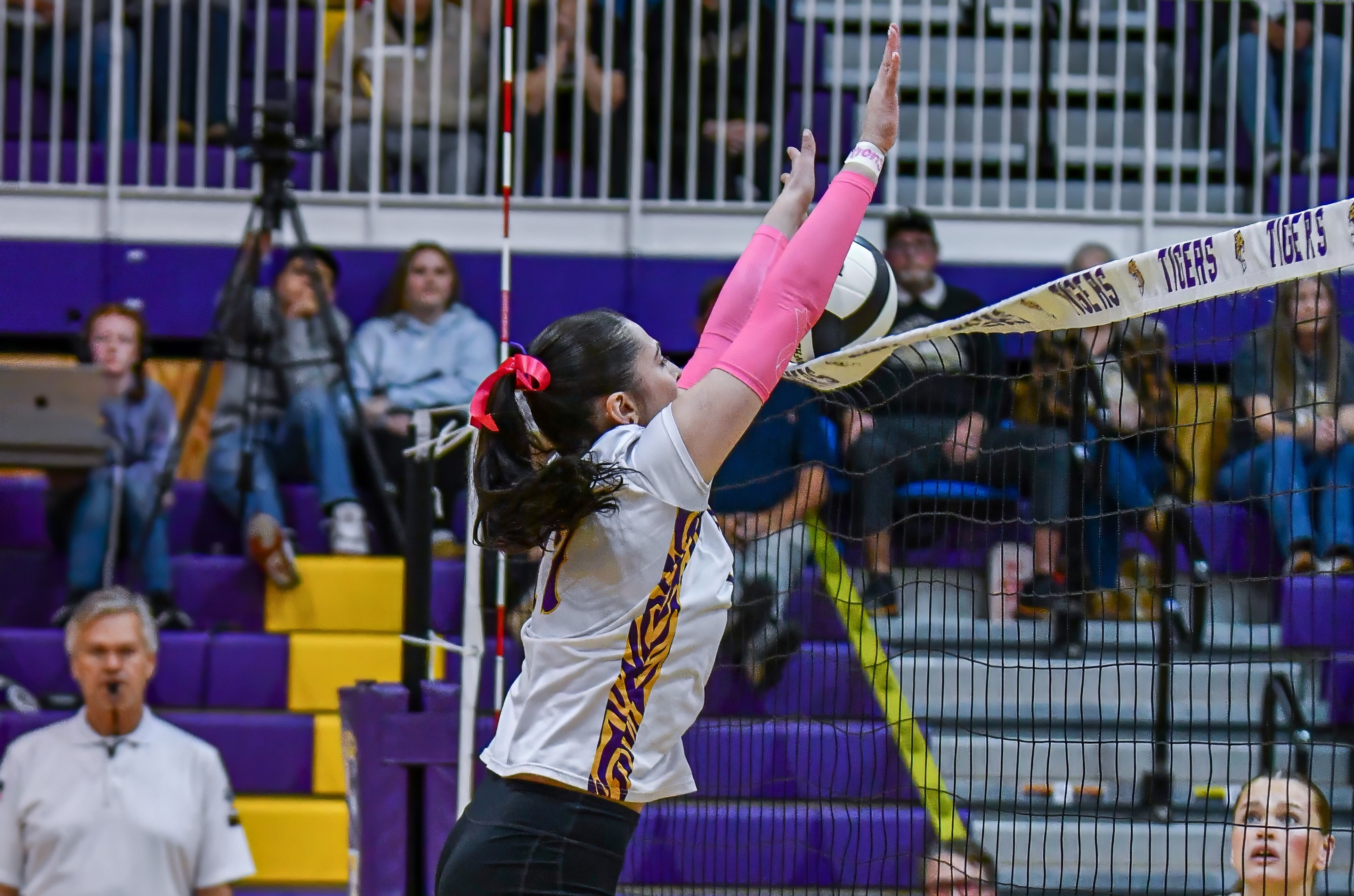 Falcons fight off Tigers to capture sectional title 